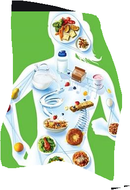 Protection against obesity :  food and nutrition in Europe