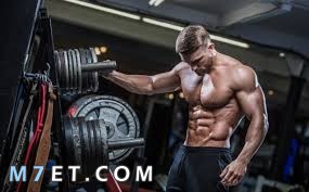 Bodybuilding workout schedule for beginners