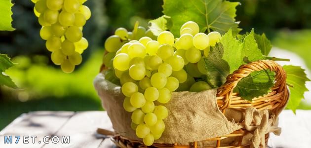 Benefits of green grapes